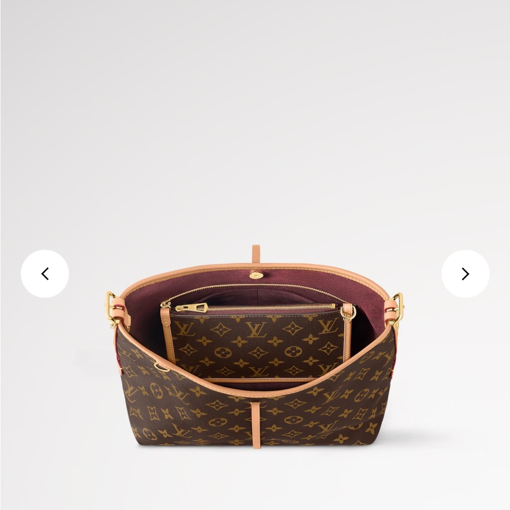 Louis Vuitton Carry All PM - Picture 5 of 12